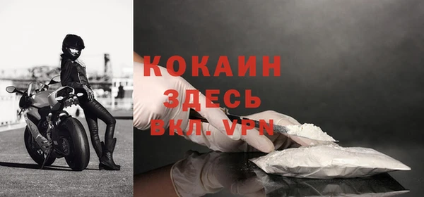 крисы Зеленокумск
