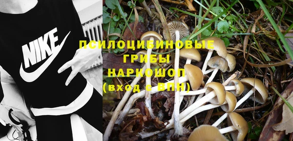 прущая мука Зеленодольск