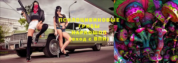 крисы Зеленокумск