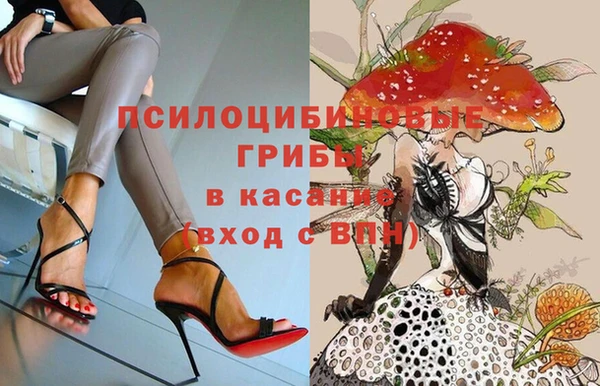 крисы Зеленокумск