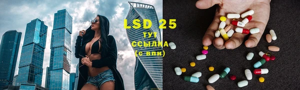 крисы Зеленокумск